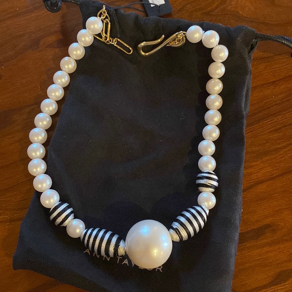 Ann Taylor necklace
